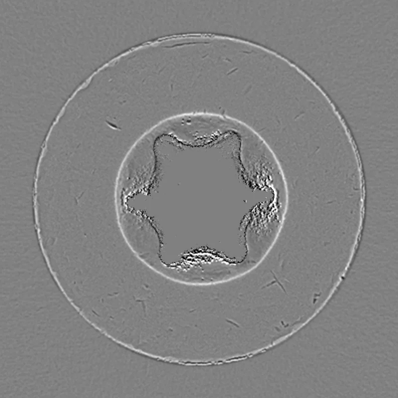 Beschädigung – Relief